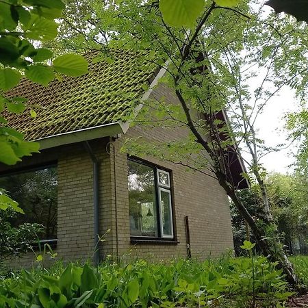 Vechtdalhuisje 17 Ommen Exteriör bild